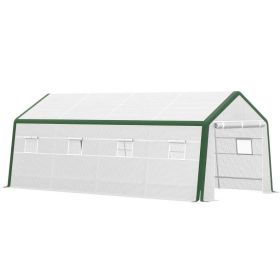 20' L x 10' W x 8' H Heavy-duty Greenhouse