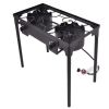 Double Burner Outdoor Stove BBQ Grill