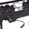 Double Burner Outdoor Stove BBQ Grill
