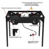 Double Burner Outdoor Stove BBQ Grill