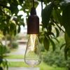 Outdoor portable camping lights; LED lights; tent lights