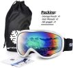 Ski Goggles