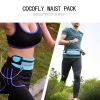 Waterproof Belt Bag